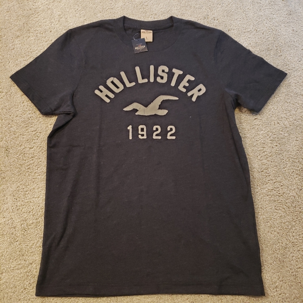 NWT Hollister T-Shirt Large